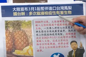 赵少康：虽然台湾对大陆也无善意，但大陆大嘛，大人应该有大量图片