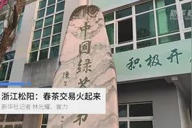浙江松阳：春茶交易火起来视频封面