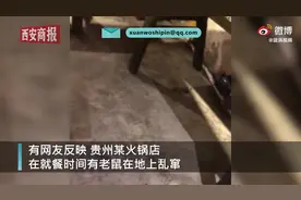 贵州一火锅店就餐时间老鼠乱窜，老板：非常抱歉，会停业整顿图片