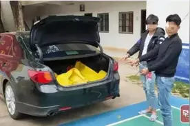 早新闻丨还养有上千万只！广西将全面排查清理这种高危害虫图片