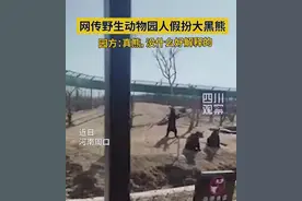 网传周口野生动物园人假扮熊 园方：是真熊图片