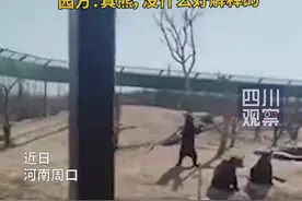 网传周口野生动物园人假扮熊 园方：是真熊图片