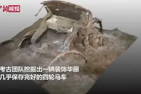 意大利庞贝古城出土一辆装饰华丽的四轮马车视频封面