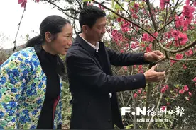福州市最美家庭郑为平一家把荒山变成“花果山”图片