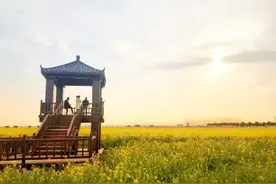 5万亩油菜花盛放，你要的诗和远方在这里图片