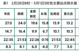 大连11级大风+暴雪预警！最新交通情况来了图片