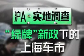 实探绿牌新政下的上海车市：有插混车直降3万元，市场份额日渐萎缩，但车企仍未放弃图片
