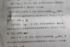 小学生被同学起诉索赔8.4万元，摊上啥事了？图片