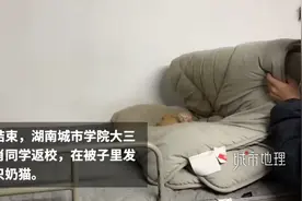 太可爱了！男生返校被子里发现5只小奶猫图片