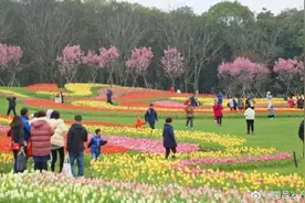 南昌赏花地图来了！我想把整个春天送给你图片