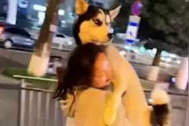 女子酒后非要抱着60斤狗子回家，同伴：扛着狗子走了100多米，结果腰闪了视频封面