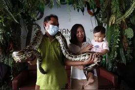 和蟒蛇一起喝咖啡！猫咖狗咖见多了，敢不敢打卡蛇咖图片