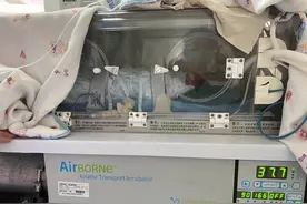 出生时仅800克，苏州早产宝宝出院时体重6斤8两图片
