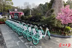 武汉东湖赏樱旅游专线来啦，还有“花花游园会”喊你玩图片