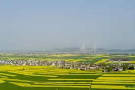 望江县八年勠力攻坚，让雷池故里换了人间图片