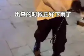 女孩酒后硬要抱60斤的狗子回家 狗子：我当时害怕极了图片