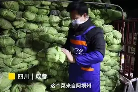 回到菜场里的年轻人：大学生继承父辈菜摊年入百万图片