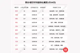 巷观陕股〡陕西板块总市值微跌5.78% 陕西黑猫跌26.91%排第一（2月22日-28日）图片