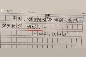 姐姐发现弟弟暗藏的“记仇本”，每次都咬牙写下“我忍了”图片