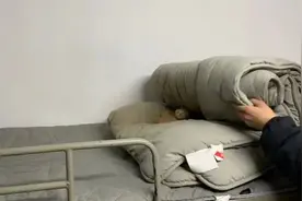 暖化了！湖南大学生返校，被子里竟窝着5只小猫仔图片