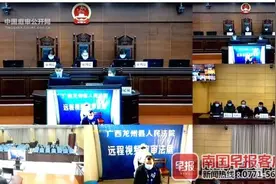 因琐事用自制手枪打死堂弟，潜逃22年后落网，龙州一男子一审被判死刑图片