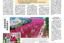 桃花笑春风 十里农旅香图片
