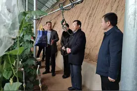 省人大常委会委员厉彦林一行到平邑县卞桥镇调研脱贫攻坚工作图片