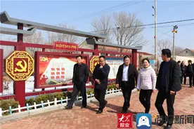 副县长李莉到车王镇调研指导工作图片