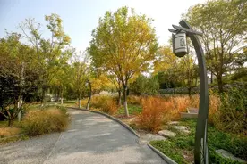 2020年北京建成106处公园，第一批名单来啦！地处东城、西城、朝阳图片
