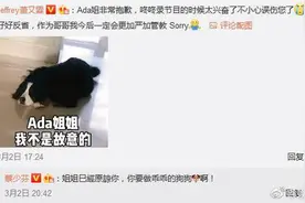 董又霖为爱犬咬伤蔡少芬道歉：一定会严加管教图片