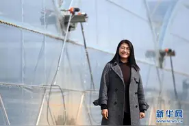 了不起的她——从农民工到企业家的乡村女强人图片