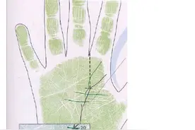 “灵魂出窍”、“地府查档”？揭开”塔罗牌占卜”神秘面纱图片