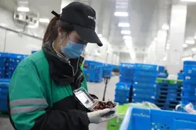 神秘队伍超500人！严守生鲜食品安全生命线图片