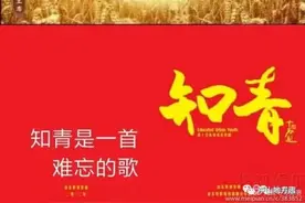 【芦山地方志·历史记忆】尹峰｜回忆录连载:我的知青岁月(四)——深山中伐木图片