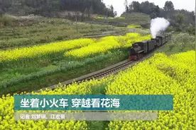 坐着小火车 穿越看花海视频封面