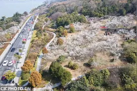 春染大地万物苏 正是踏青好时节图片