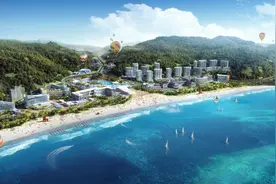 总投资1951亿，大鹏新区2021年布局105个重大项目图片