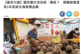 大陆“封杀”台湾凤梨，台湾岛内开始抓“内鬼”图片