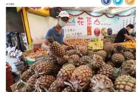大陆“封杀”台湾凤梨，台湾岛内开始抓“内鬼”图片
