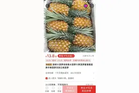 徐闻菠萝24小时“拼”出67万斤，拼多多加速推广“徐闻模式”图片
