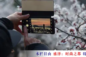 江苏24小时·滚动推送｜徐州市：云龙湖“十里杏花”竞相绽放图片