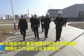 德州乐陵副市长董军调研精细化工产业链企业发展情况视频封面