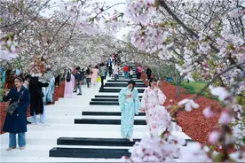 阳春三月，赏花正当时图片