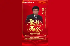 谭平川：发挥成渝经济发展优势 助推地区立体交通网建设图片