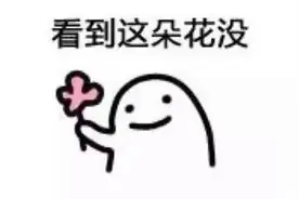 怎么也飞不出，广西花花的世界！(多图)图片