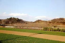 甘肃丨对撂荒地一律不予发放耕地地力保护补贴图片