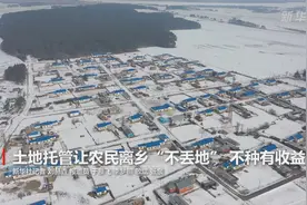 土地托管让农民离乡“不丢地” 不种有收益视频封面