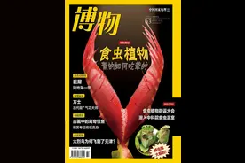 食虫植物只有吃虫才能活下去吗？图片