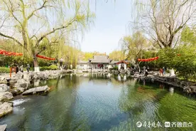 趵突泉春意盎然，鲜花与美女争艳图片