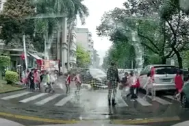 小学生过马路，司机驾车强行穿越斑马线！警方深夜通报图片